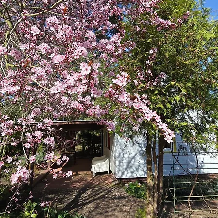 Na Czapli * Morzyczyn (West Pomeranian)