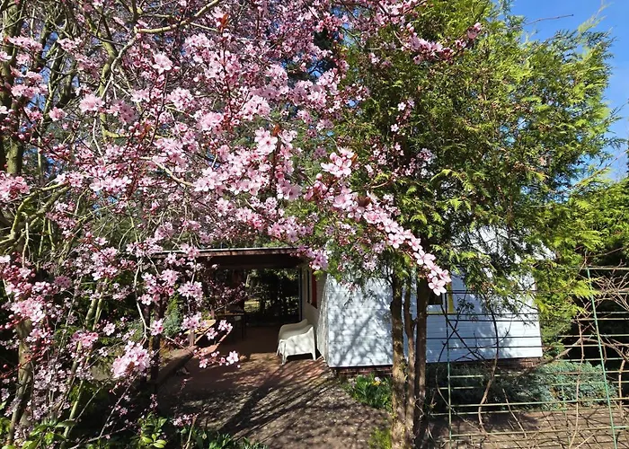 Na Czapli * Morzyczyn (West Pomeranian)